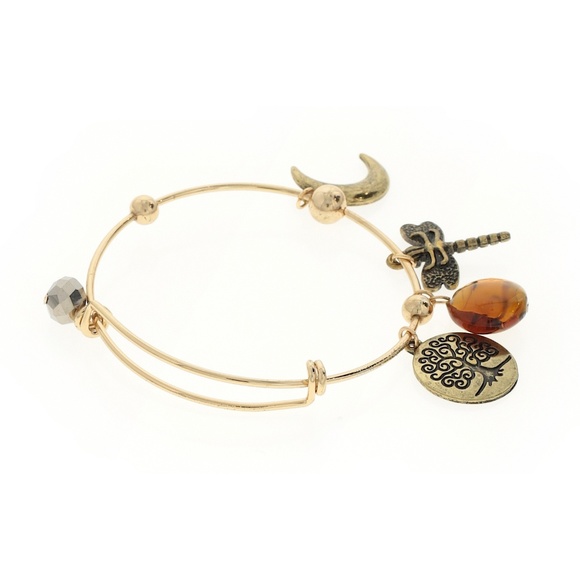 Dragonfly and Moon Gold Plated Wire Charm Bracelet - Picture 2 of 2